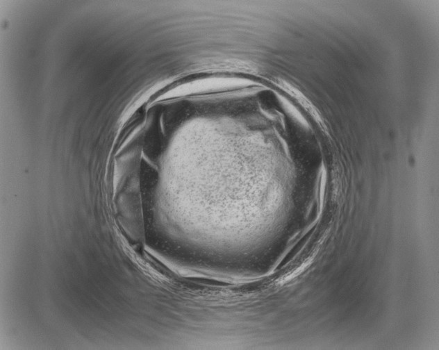 X0000081570885200702051211