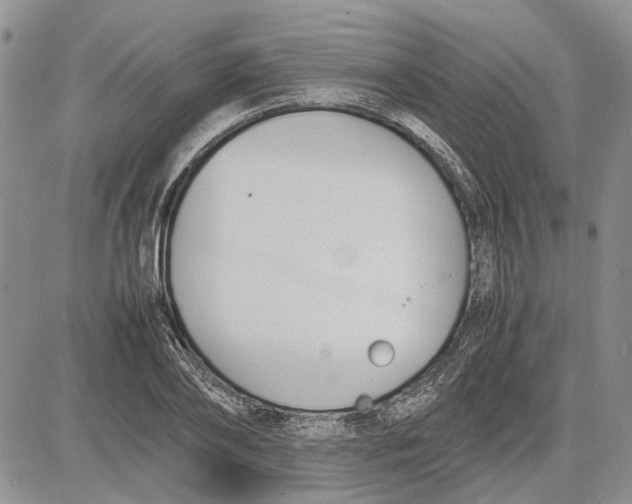 X0000081570886200702051211