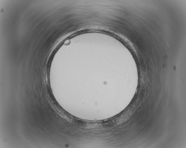 X0000081570887200702051211