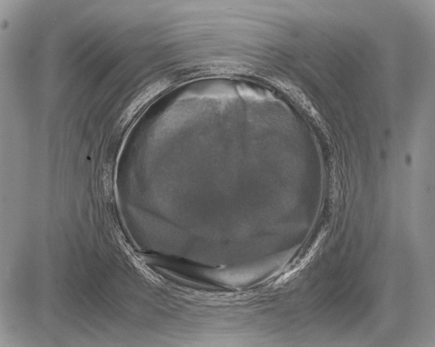 X0000081570889200702051211