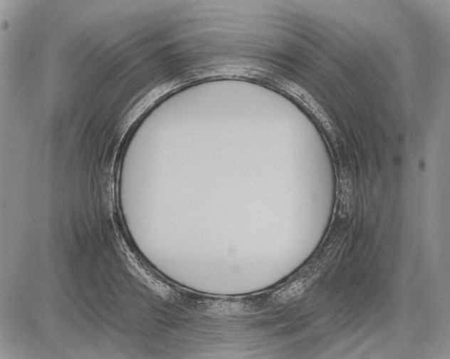 X0000081570890200702051211