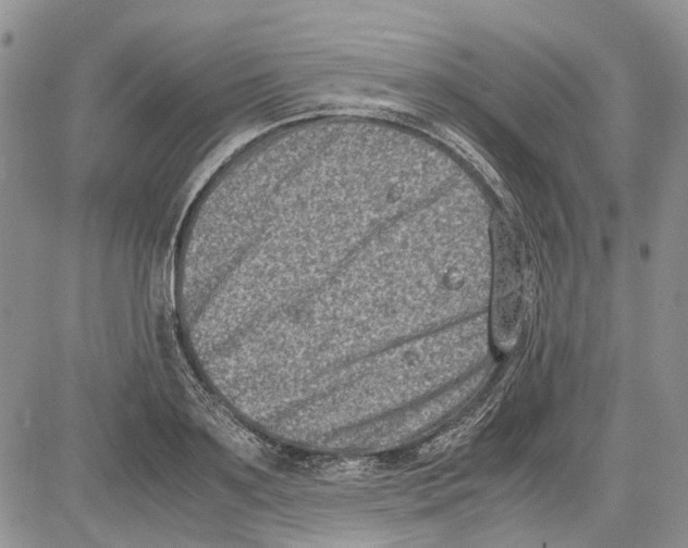 X0000081570891200702051211