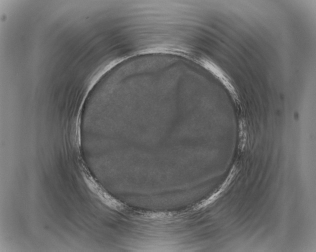 X0000081570892200702051211