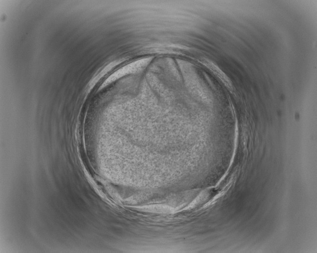 X0000081570893200702051211