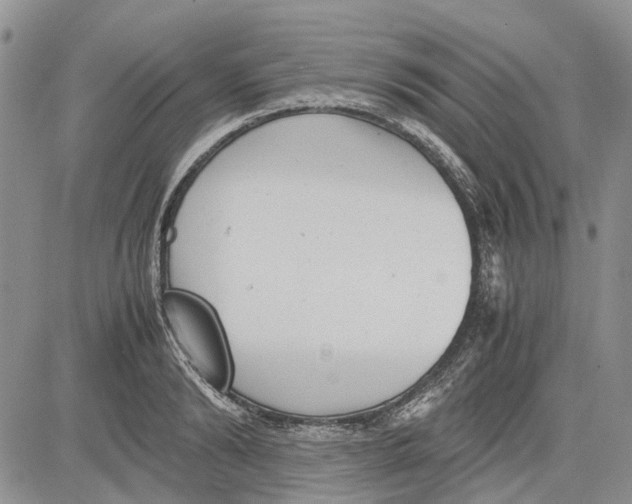 X0000081570894200702051211