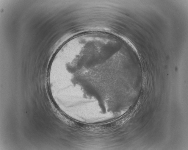 X0000081570895200702051211