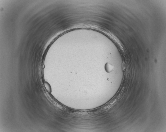 X0000081570896200702051211