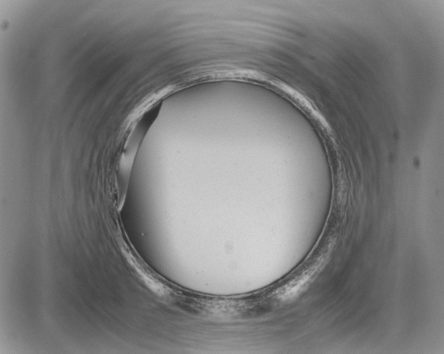 X0000081570897200702051211