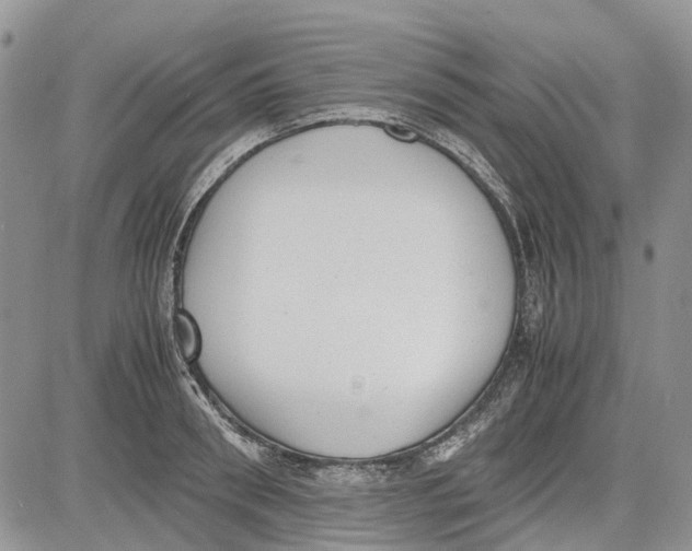 X0000081570898200702051211