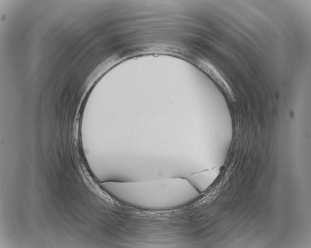 X0000081570900200702051211