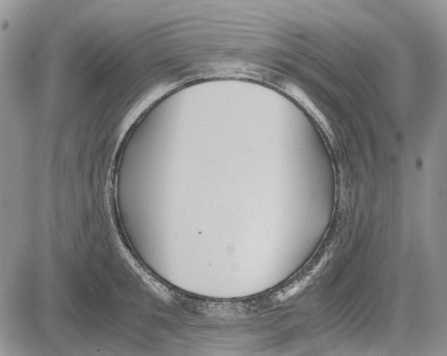 X0000081570901200702051211