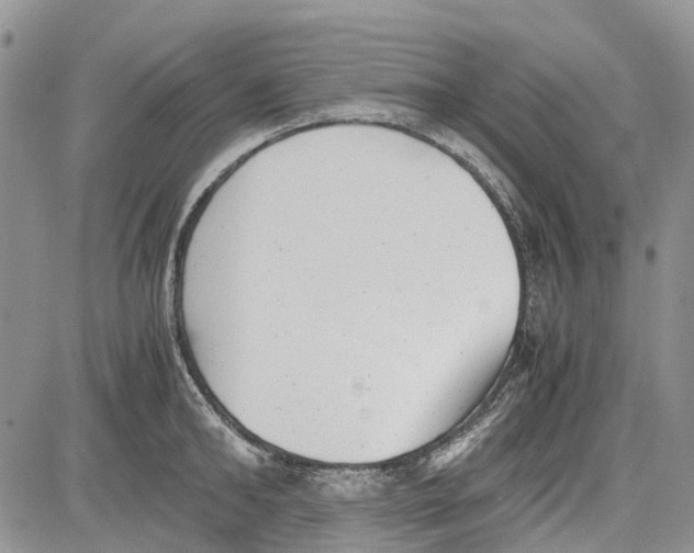 X0000081570902200702051211