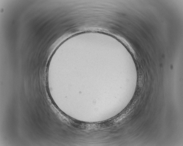 X0000081570903200702051211