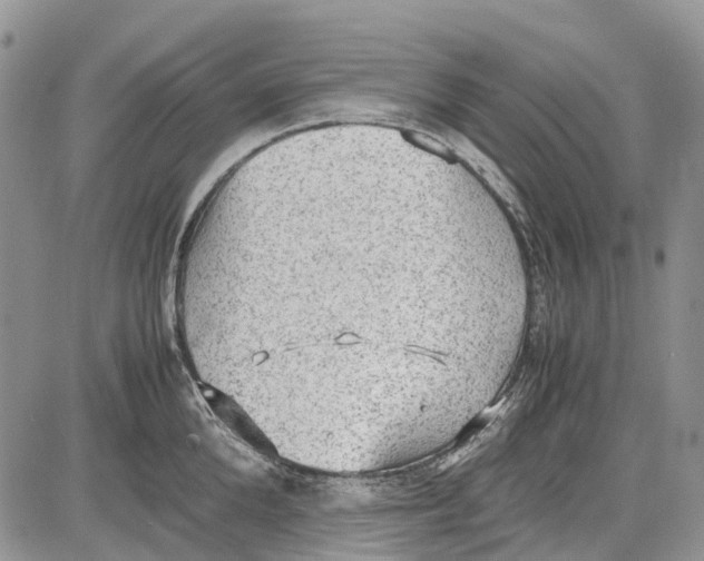 X0000081570904200702051211