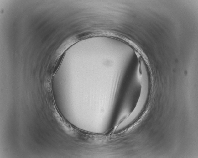 X0000081570905200702051211