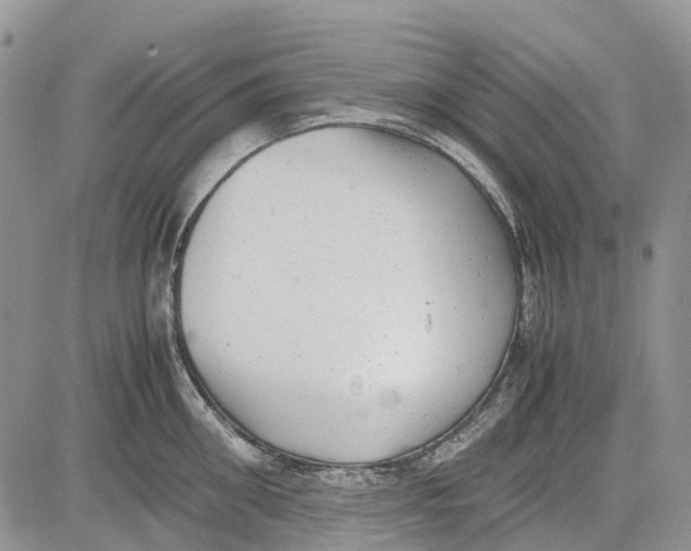 X0000081570906200702051211