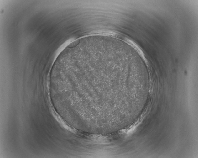 X0000081570907200702051211