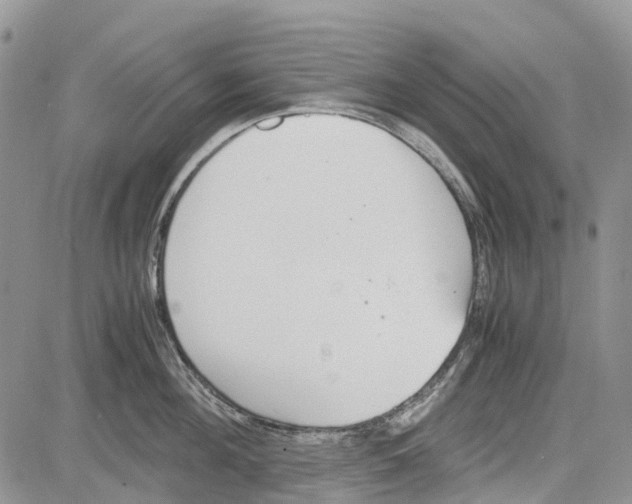 X0000081570908200702051211