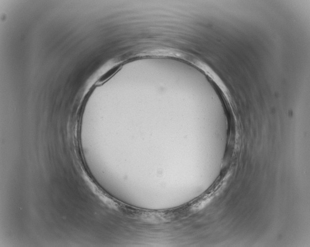 X0000081570909200702051211