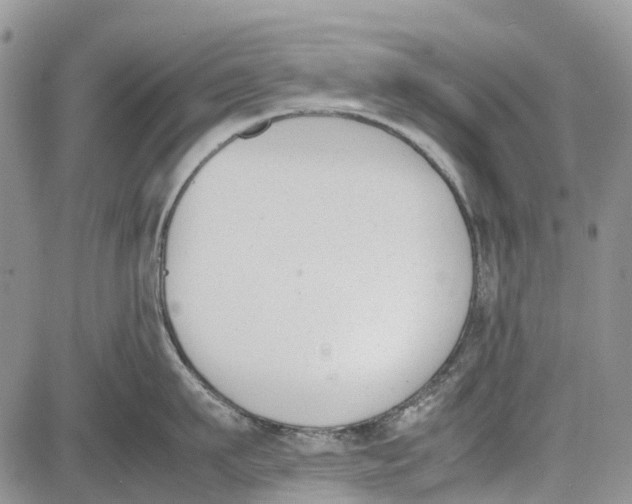 X0000081570911200702051211