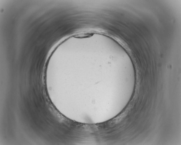 X0000081570912200702051211