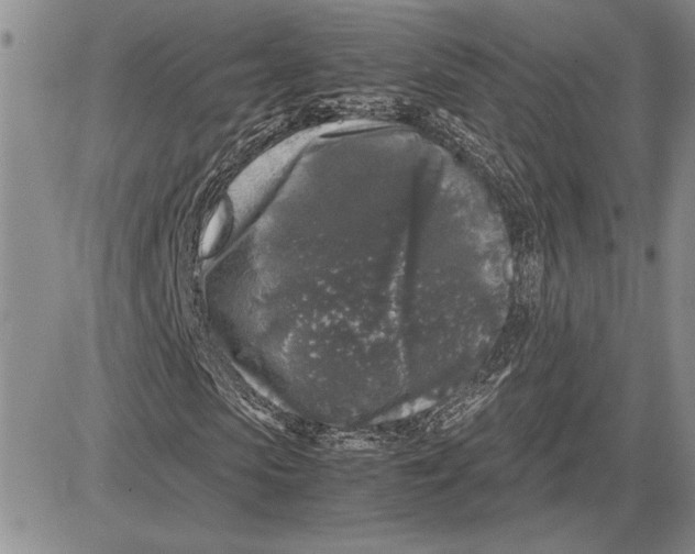 X0000081570913200702051210