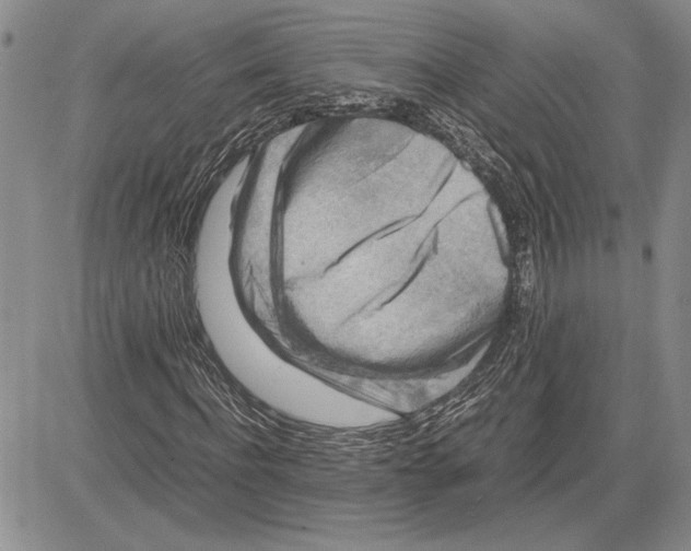 X0000081570916200702051210