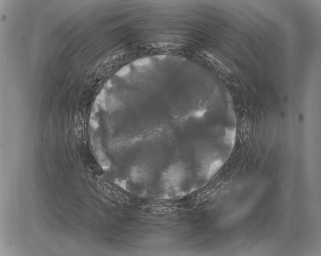 X0000081570917200702051210