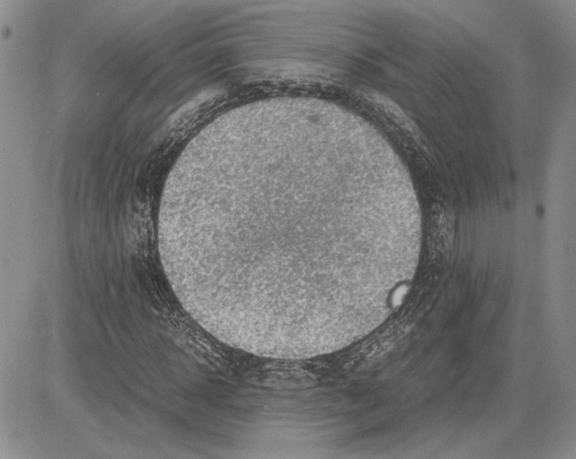 X0000081570918200702051210