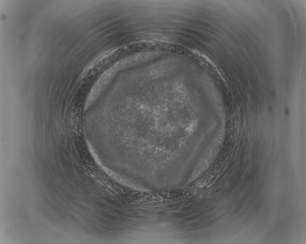 X0000081570919200702051210