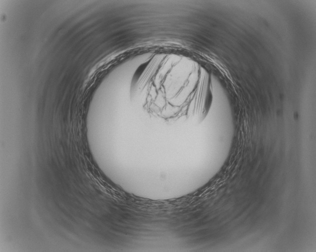 X0000081570920200702051210