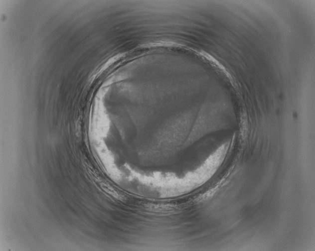 X0000081570921200702051210