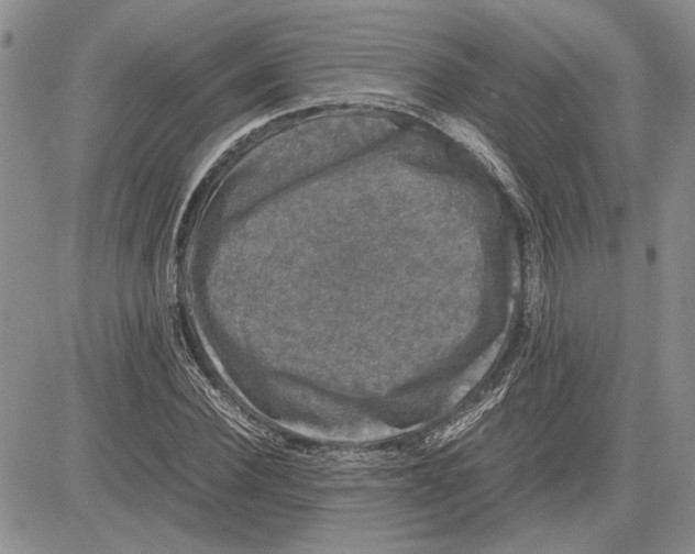 X0000081570924200702051210