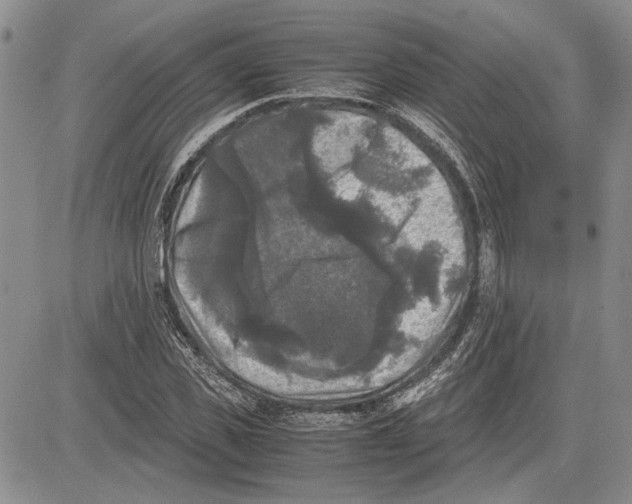 X0000081570925200702051210