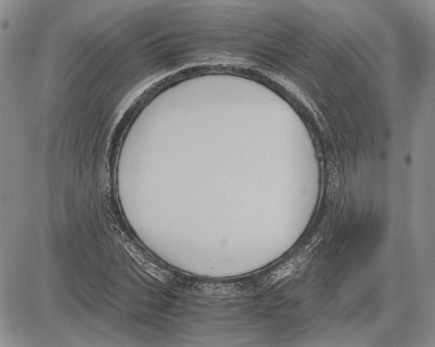 X0000081570927200702051210