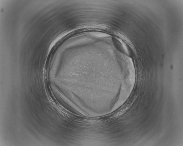 X0000081570928200702051210