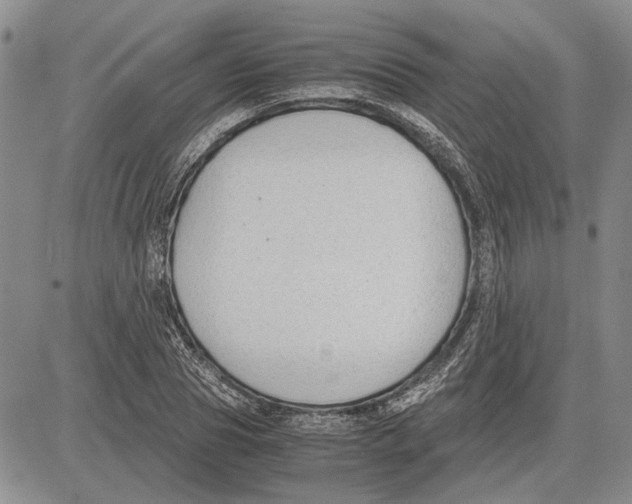 X0000081570929200702051210