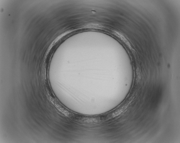 X0000081570931200702051210