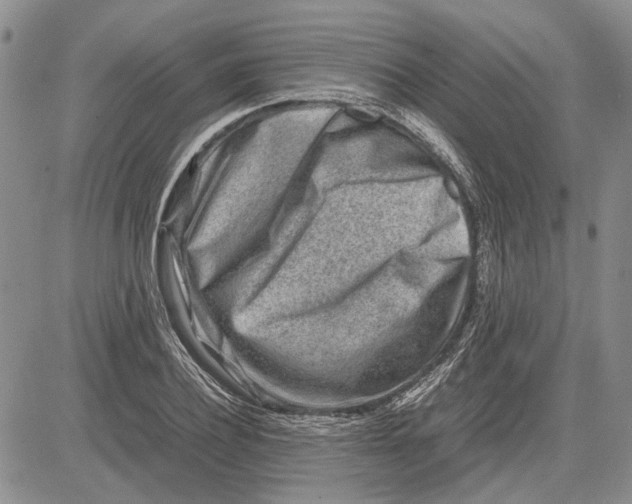 X0000081570932200702051210