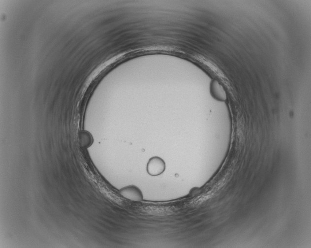 X0000081570933200702051210