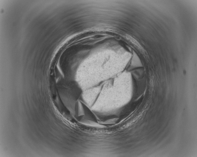 X0000081570934200702051210