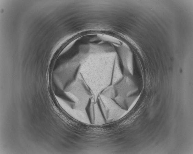 X0000081570935200702051210