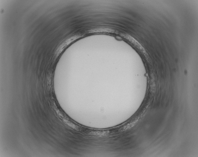 X0000081570937200702051210