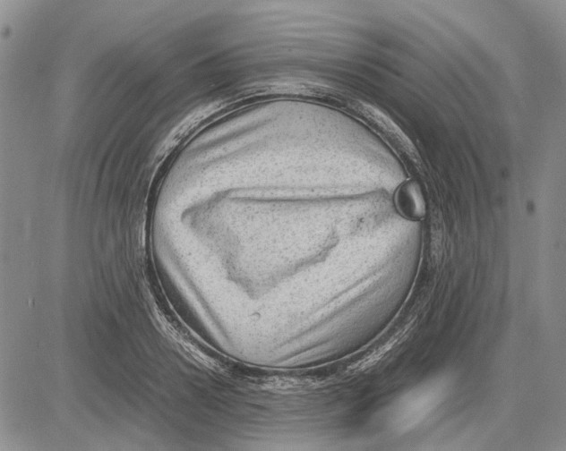 X0000081570938200702051211