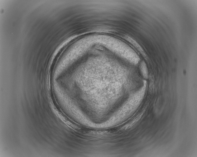 X0000081570939200702051211