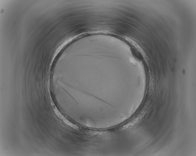 X0000081570941200702051211