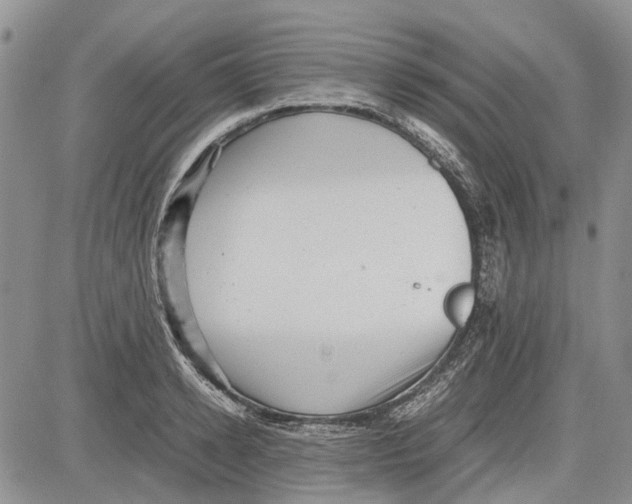 X0000081570942200702051211