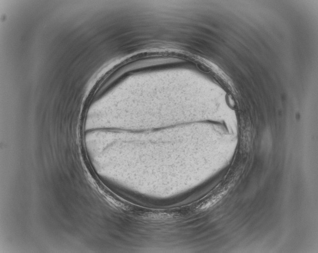 X0000081570943200702051211