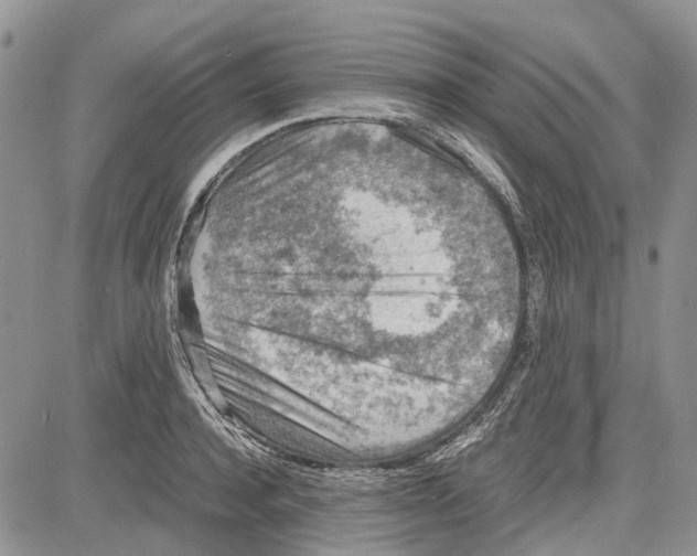 X0000081570944200702051211