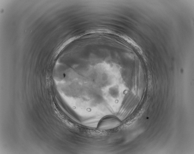 X0000081570945200702051211